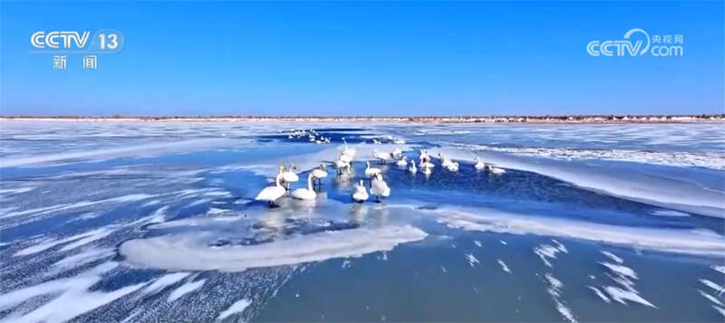 雪地深度与水分实时监测系统提升管理效率(图1)